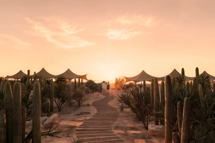 Half-Day Beach Club & Kids Adventure Park in Cabo — Tequila Tasting and Mini Zipline photo 2