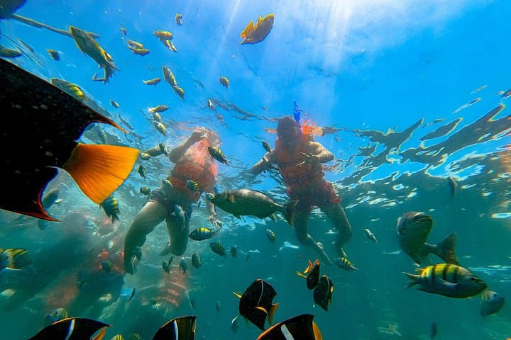 Yelapa & Majahuitas Day Cruise — Snorkel, Paddleboard, Lunch and Open Bar photo 2