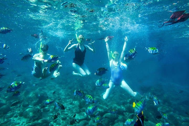 Yelapa & Majahuitas Day Cruise — Snorkel, Paddleboard, Lunch and Open Bar photo 5
