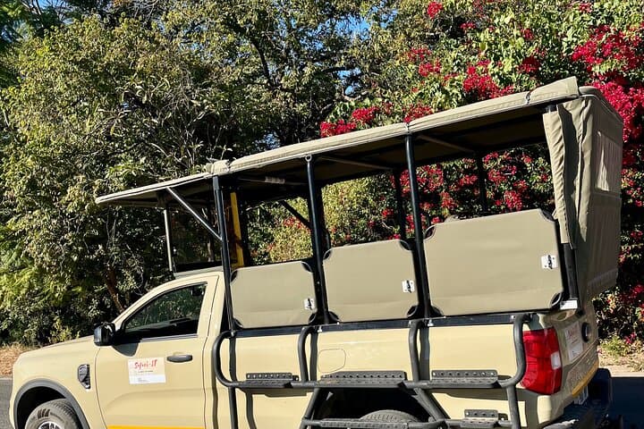 Full-Day Safari Game Drive in Hazyview — Big Five & Sunset Wildlife Viewing