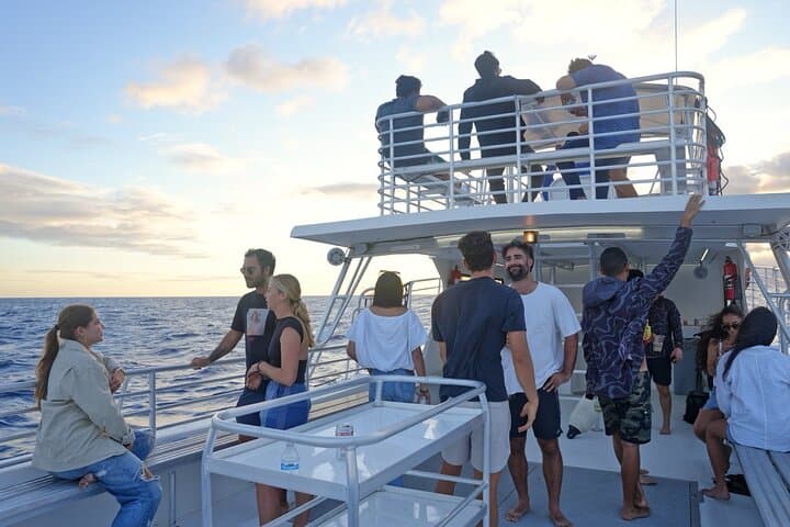 Waikiki Private Boat Charter: Snorkel with Turtles & Seasonal Whale Watching photo 2