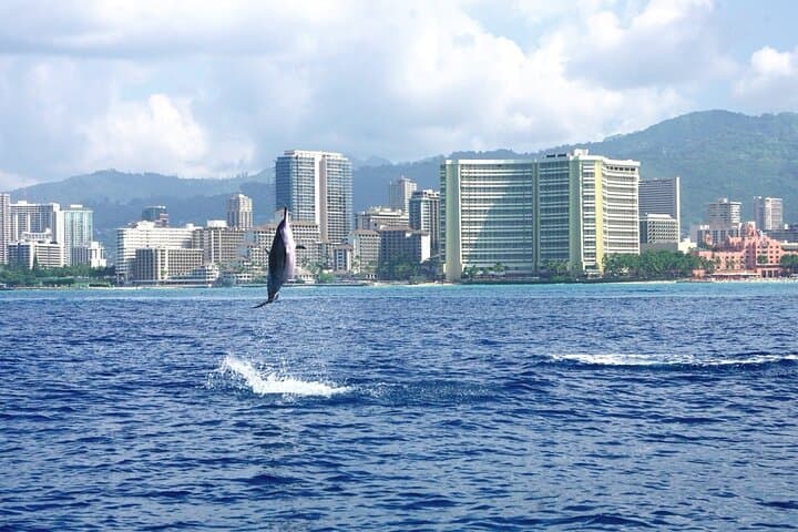 Waikiki Private Boat Charter: Snorkel with Turtles & Seasonal Whale Watching photo 5