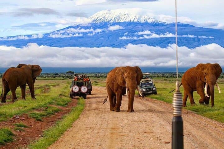 3-Day Amboseli Safari: Elephants and Kilimanjaro Views from Nairobi photo 2