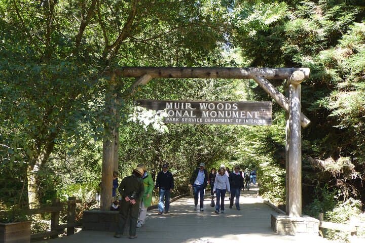 Half-Day Muir Woods and Sausalito Tour — Golden Gate, Redwoods & Coastal Views photo 2