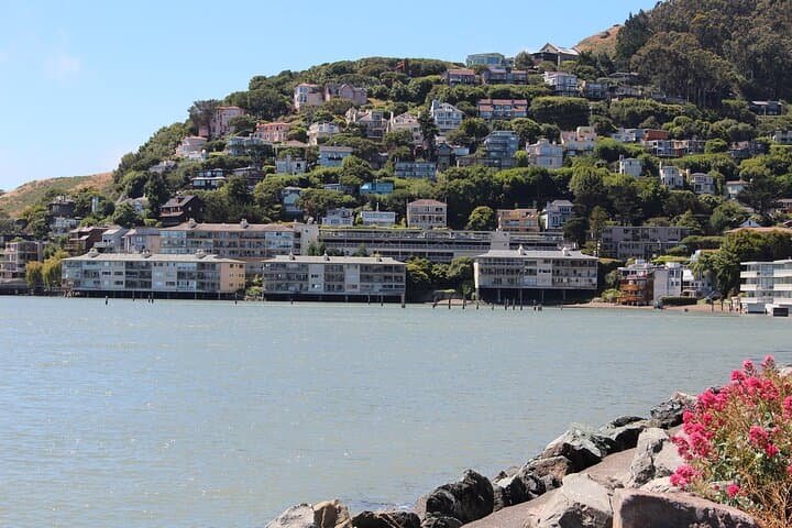 Half-Day Muir Woods and Sausalito Tour — Golden Gate, Redwoods & Coastal Views photo 5