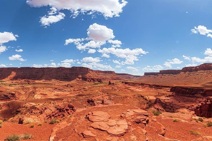Moab Afternoon Half-Day Jeep Tour: Scenic Red Rock Backcountry Drive photo 2