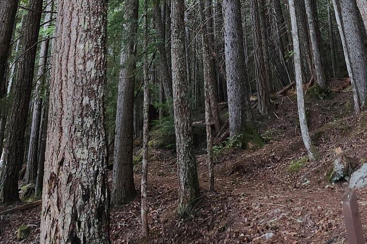 Whistler Valley Trail Scavenger Hunt: Family Geocaching Adventure photo 3