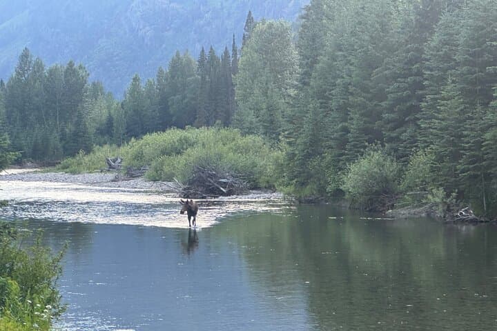Half-Day E‑Bike Tour on Camas Road — Lake McDonald to North Fork photo 2