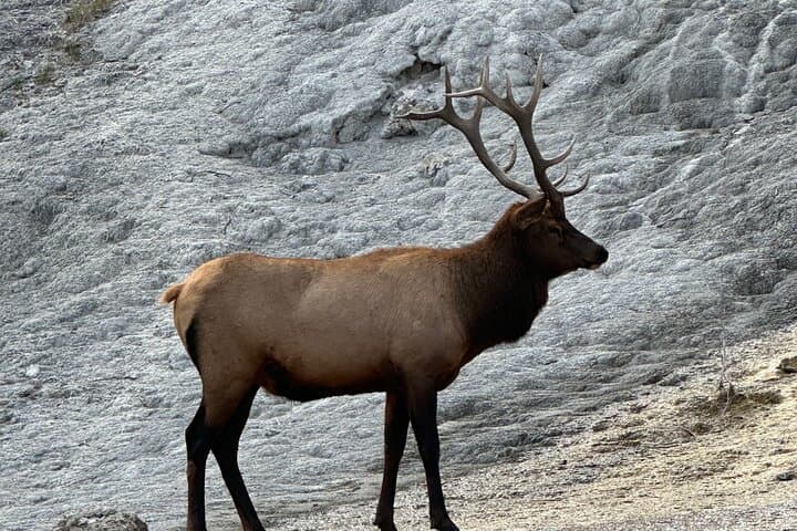 Exploring Yellowstone’s Hidden Hiking Gems: Wildlife and Wilderness in West Yellowstone photo 2