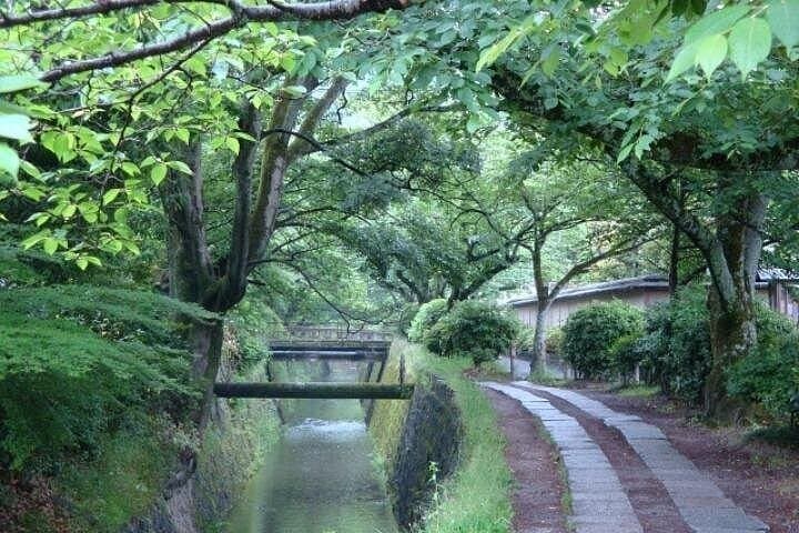 Peaceful Kyoto Walking Tour: Philosopher's Path, Ginkakuji & Zen Gardens photo 3