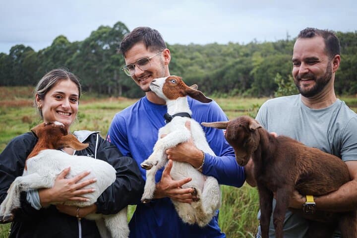 Bottle-Feed and Cuddle Baby Goats on the Big Island: Ohana Ranch Experience photo 3