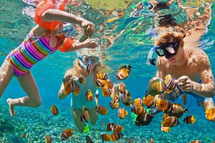 Private Blue Lagoon Snorkel & Beach Lunch — Padangbai Coral Gardens photo 2