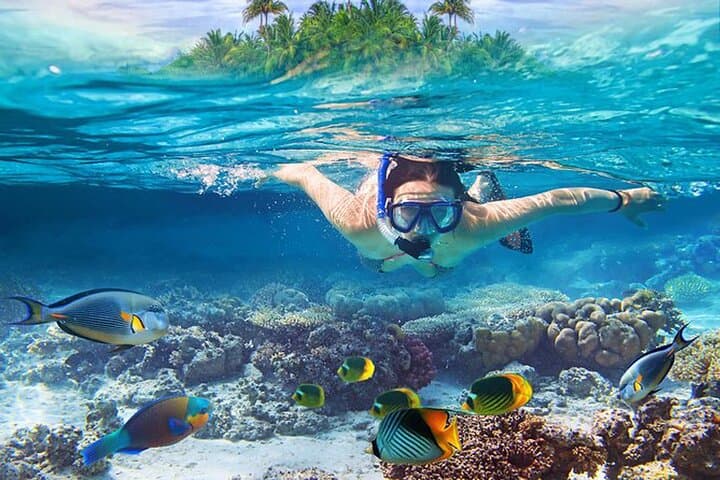 Private Blue Lagoon Snorkel & Beach Lunch — Padangbai Coral Gardens photo 5