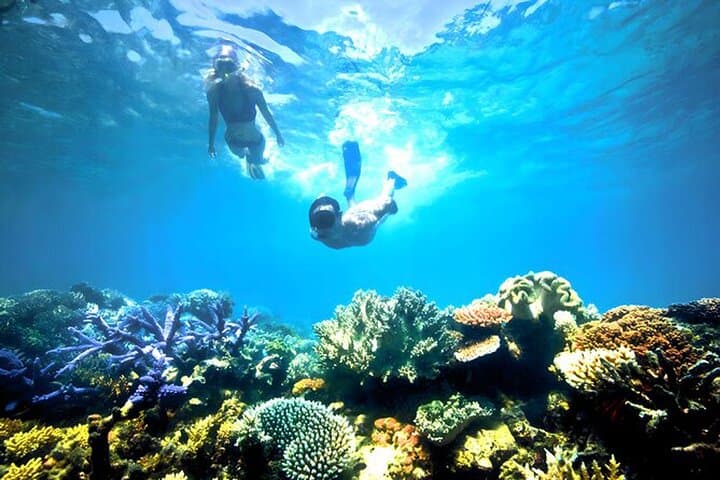 Private Blue Lagoon Snorkel & Beach Lunch — Padangbai Coral Gardens photo 6