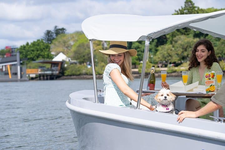 Self-Drive Electric Boat Hire on Brisbane River: Picnic Cruises from Breakfast Creek photo 4