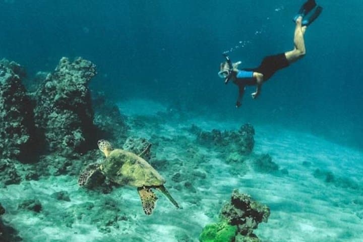 Reel and Reef: 4-Hour Fishing Charter from Nadi, Fiji photo 3