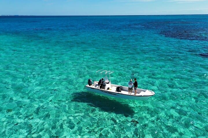 Half-Day Private Scuba Charter in Ishigaki — Sea Turtles & Manta Rays photo 4