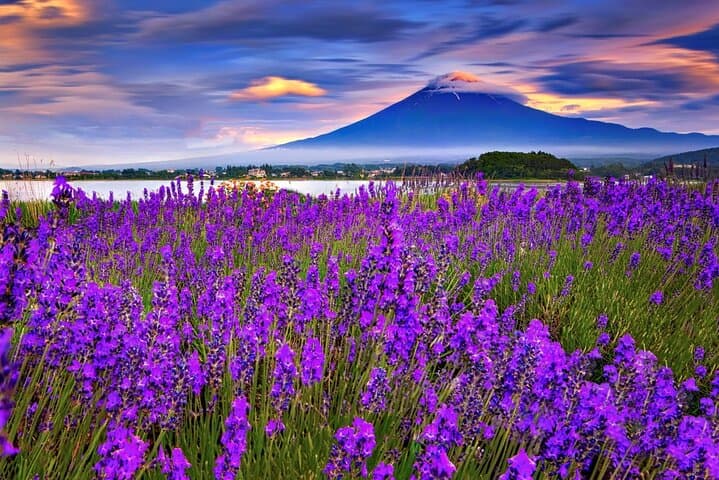 Mt Fuji Day Tour: Kawaguchi Ropeway, Matcha Ceremony & Oshino Hakkai photo 2