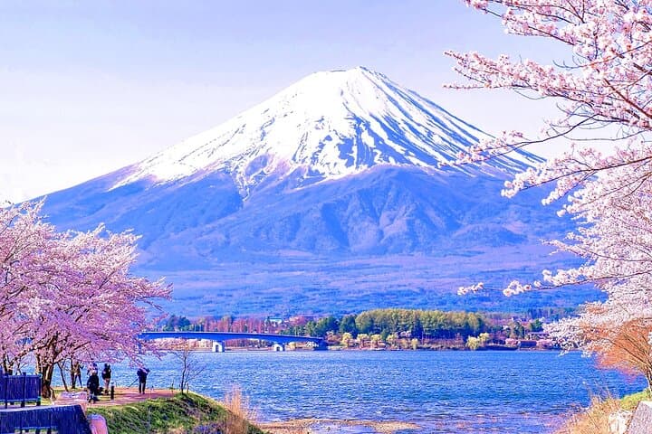 Mt Fuji Day Tour: Kawaguchi Ropeway, Matcha Ceremony & Oshino Hakkai