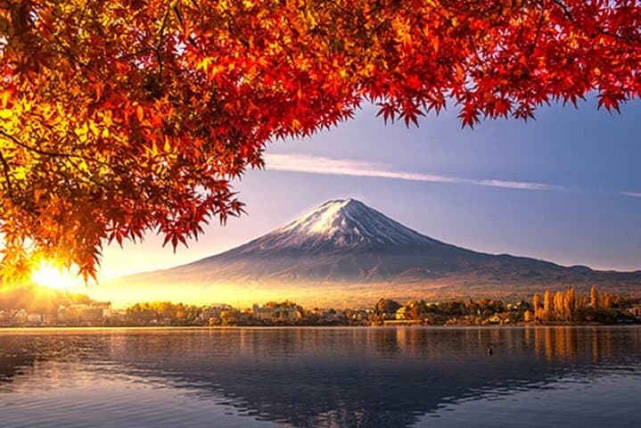 Mt Fuji Day Tour: Kawaguchi Ropeway, Matcha Ceremony & Oshino Hakkai photo 6