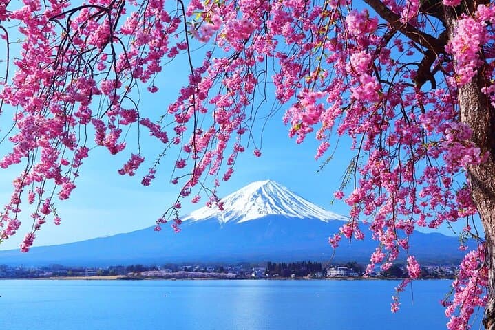 Mt Fuji Day Tour: Kawaguchi Ropeway, Matcha Ceremony & Oshino Hakkai photo 3