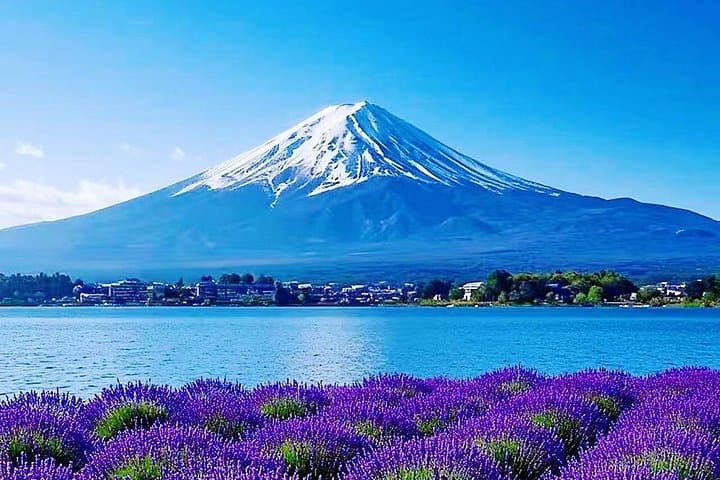 Mt Fuji Day Tour: Chureito Pagoda, Oshino Hakkai & Lake Kawaguchi Views photo 1