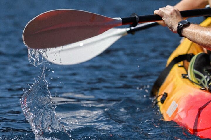 Budva Kayak & SUP Rental — Paddle Montenegro’s Adriatic Coast photo 5