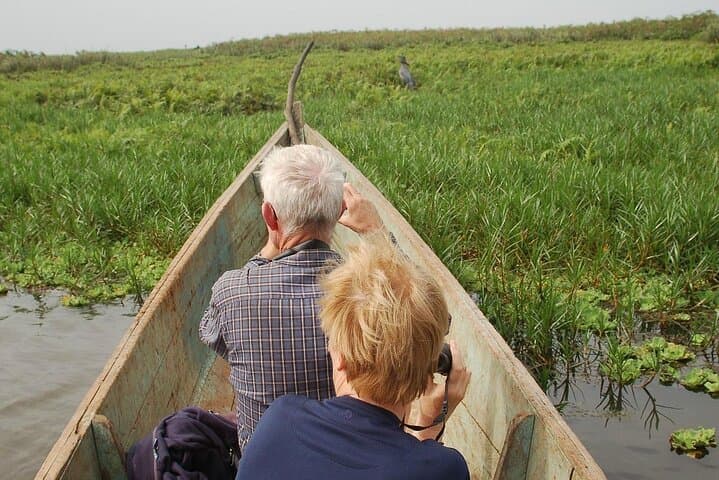 Mabamba Swamp Shoebill Canoe Tour — Entebbe Birdwatching Adventure photo 4
