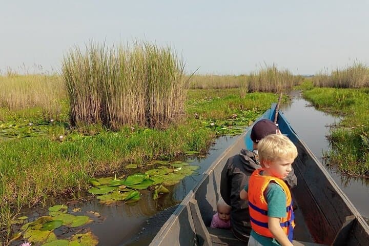 Mabamba Swamp Shoebill Canoe Tour — Entebbe Birdwatching Adventure photo 6
