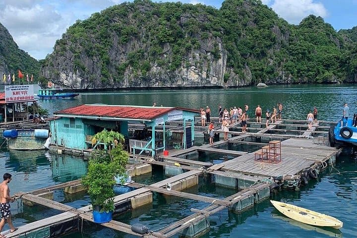 2-Day Cat Ba & Lan Ha Bay Adventure from Hanoi — Kayak, Trek, Bioluminescence photo 2