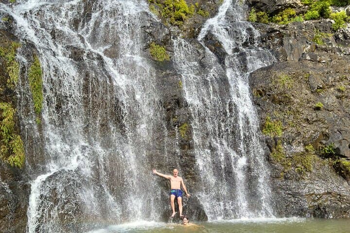Central Wilderness Adventure: Hike Tamarind Falls & Grand Bassin in Mauritius photo 4