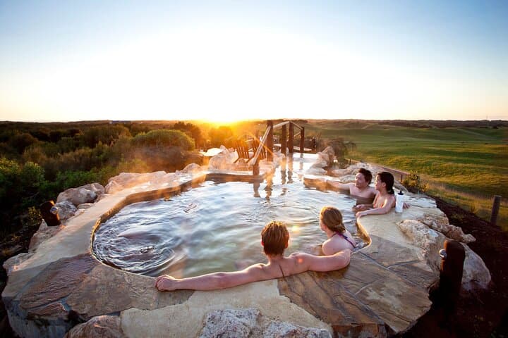 Full-Day Mornington Peninsula: Wildlife, Wine & Hot Springs