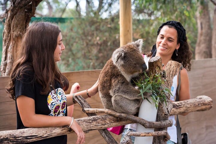 Full-Day Mornington Peninsula: Wildlife, Wine & Hot Springs photo 6