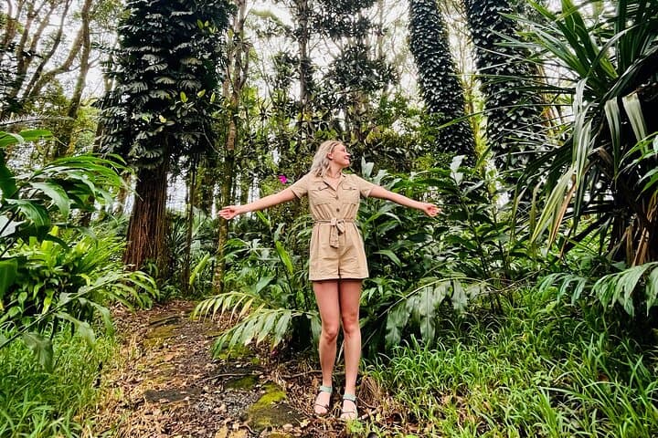 Forest Bathing at Black River Gorges: 2-Hour Guided Tropical Mindfulness Walk in Mauritius