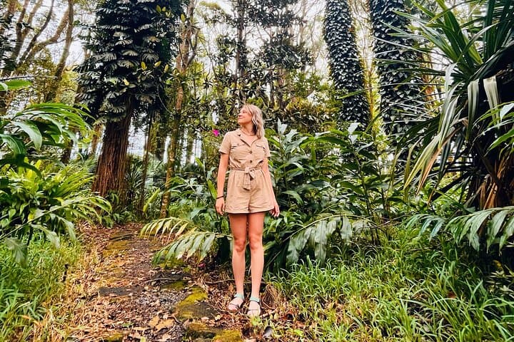 Forest Bathing at Black River Gorges: 2-Hour Guided Tropical Mindfulness Walk in Mauritius photo 2