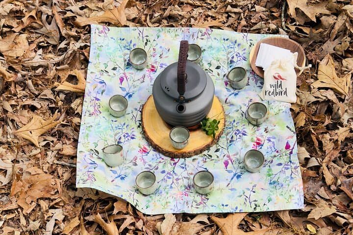 Forest Bathing at Black River Gorges: 2-Hour Guided Tropical Mindfulness Walk in Mauritius photo 4