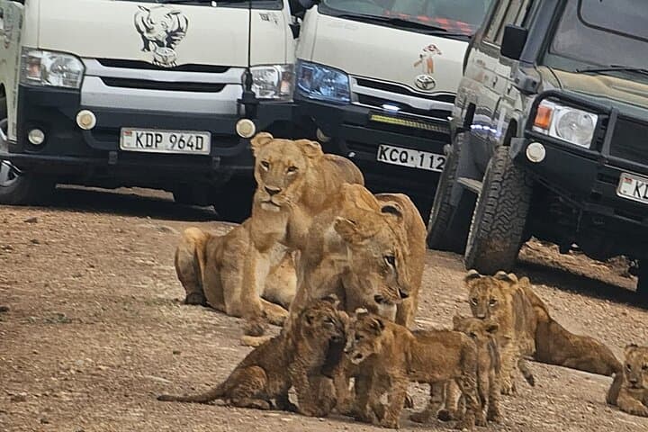 Nairobi National Park Safari and Kobe Beads Cultural Visit: City-Edge Wildlife and Craft