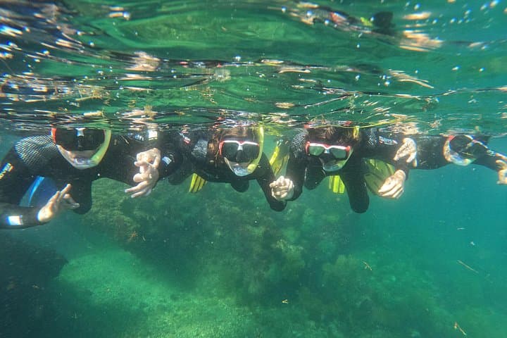 Snorkelling Lisbon: Prof. Luiz Saldanha Marine Reserve Guided Tour from Setúbal photo 3
