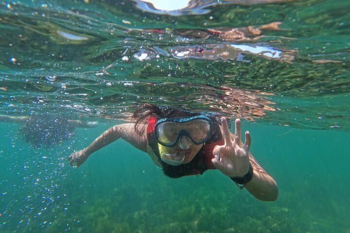Snorkelling Lisbon: Prof. Luiz Saldanha Marine Reserve Guided Tour from Setúbal