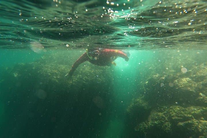 Snorkelling Lisbon: Prof. Luiz Saldanha Marine Reserve Guided Tour from Setúbal photo 5