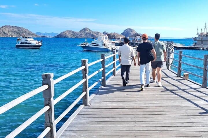 Komodo Speed Boat Adventure: Padar Views, Pink Beach & Manta Rays photo 3