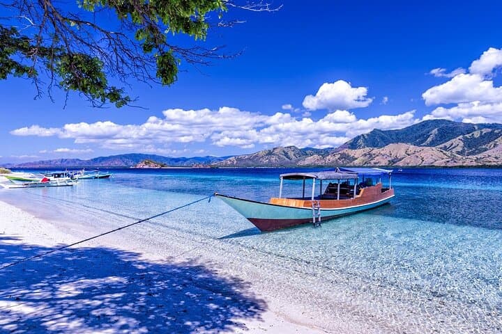 Komodo Speed Boat Adventure: Padar Views, Pink Beach & Manta Rays photo 2