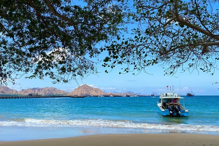 Komodo Speed Boat Adventure: Padar Views, Pink Beach & Manta Rays photo 5