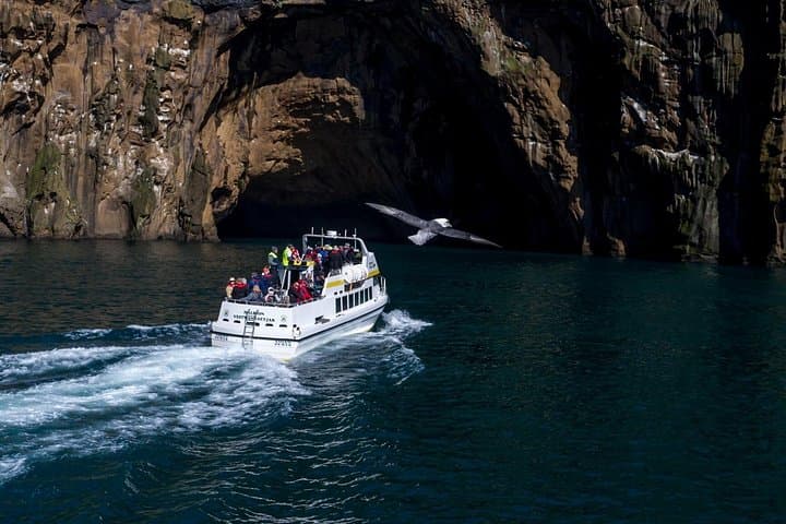 Puffin Islands & Volcano Boat Tour — Puffins, Sea-Cave Acoustics and 1973 Lava Views