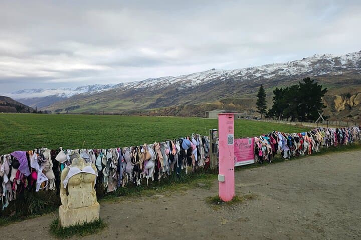 Private Wanaka Day Trip from Queenstown: Arrowtown, Cardrona & Cromwell photo 3