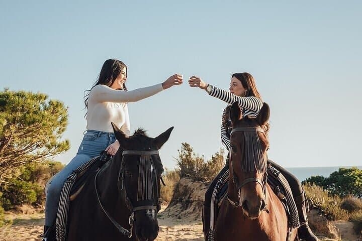 Sharm El Sheikh Desert Horse Ride: 1-Hour Guided Experience with Transfer photo 2