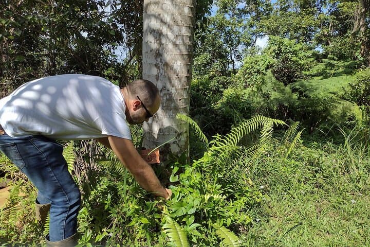 Treasure Hunt Hike Near Fajardo, Puerto Rico — App-Guided Outdoor Adventure