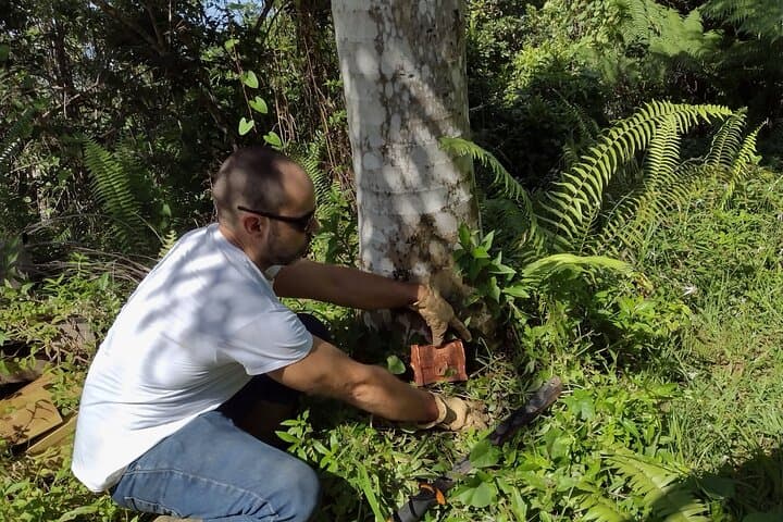 Treasure Hunt Hike Near Fajardo, Puerto Rico — App-Guided Outdoor Adventure photo 2