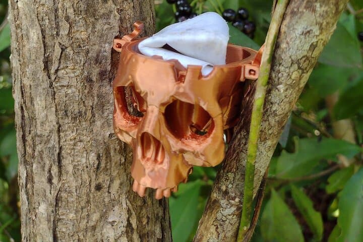 Treasure Hunt Hike Near Fajardo, Puerto Rico — App-Guided Outdoor Adventure photo 4