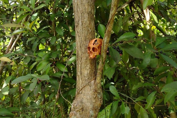 Treasure Hunt Hike Near Fajardo, Puerto Rico — App-Guided Outdoor Adventure photo 6